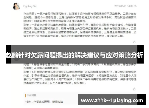 赵鹏针对欠薪问题提出的解决建议与应对策略分析