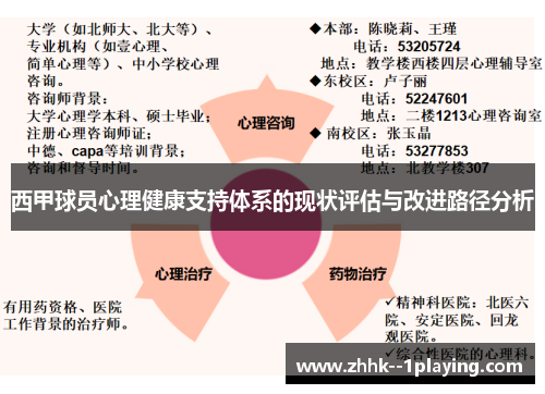 西甲球员心理健康支持体系的现状评估与改进路径分析