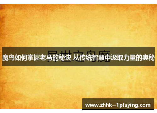 魔鸟如何掌握老马的秘诀 从传统智慧中汲取力量的奥秘 魔鸟如何掌握老马的秘诀 从传统智慧中汲取力量的奥秘